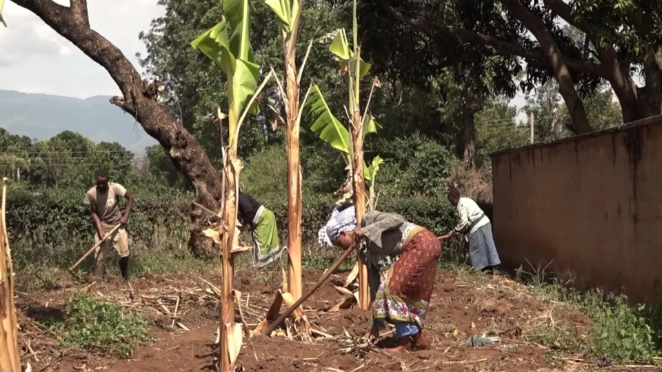 AGRI-CONNECT TANZANIA - LEARN AND DO